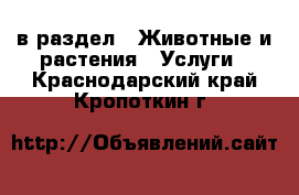  в раздел : Животные и растения » Услуги . Краснодарский край,Кропоткин г.